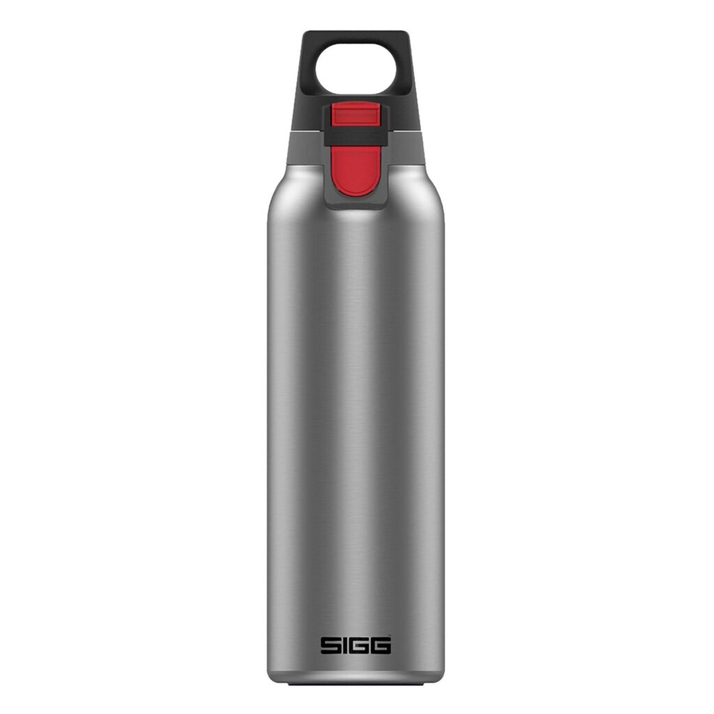 borraccia termica hot and cold sigg