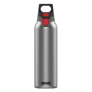 borraccia termica hot and cold sigg