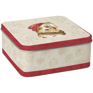 contenitore latta porta biscotti dcus054 cm 15x15x6,5