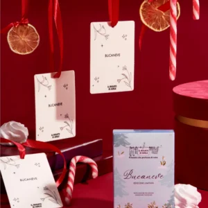 Profuma Cassetti & Armadi 'Winter Magic BUCANEVE' - Bucato di Adele (3 Cards)